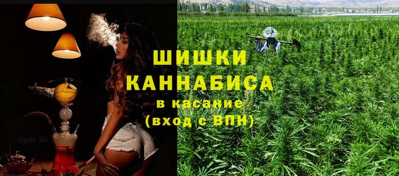 цены наркотик  гидра вход  Бошки марихуана Amnesia  Киренск 